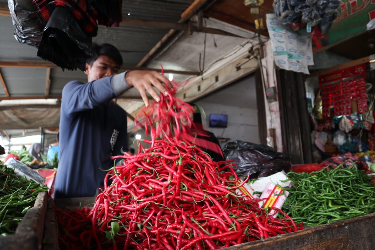 Harga cabai merah di Banda Aceh turun Rp90 ribu per kilogram