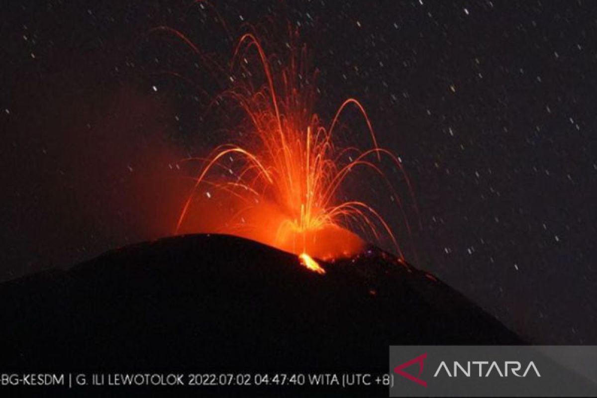 Pos PVBMG: Waspadai guguran material erupsi Gunung Ile Lewotolok