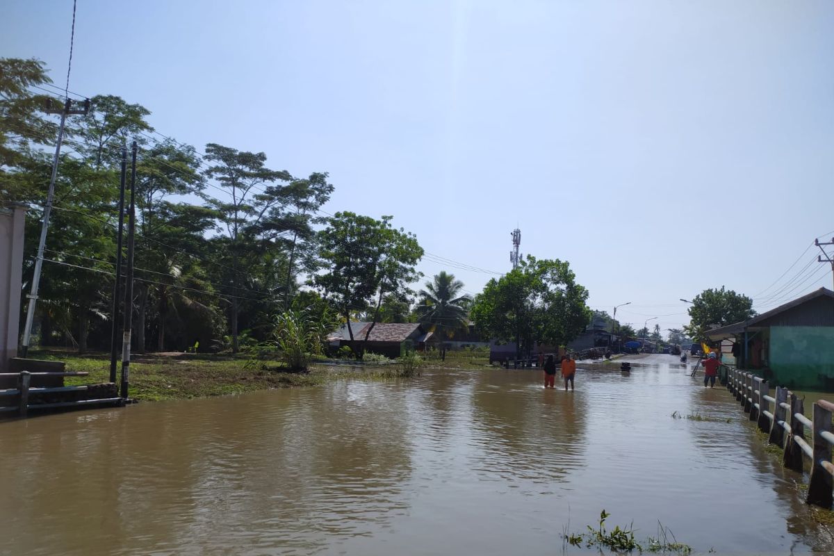 Sebanyak 4.550 rumah warga di Bengkulu terdampak banjir