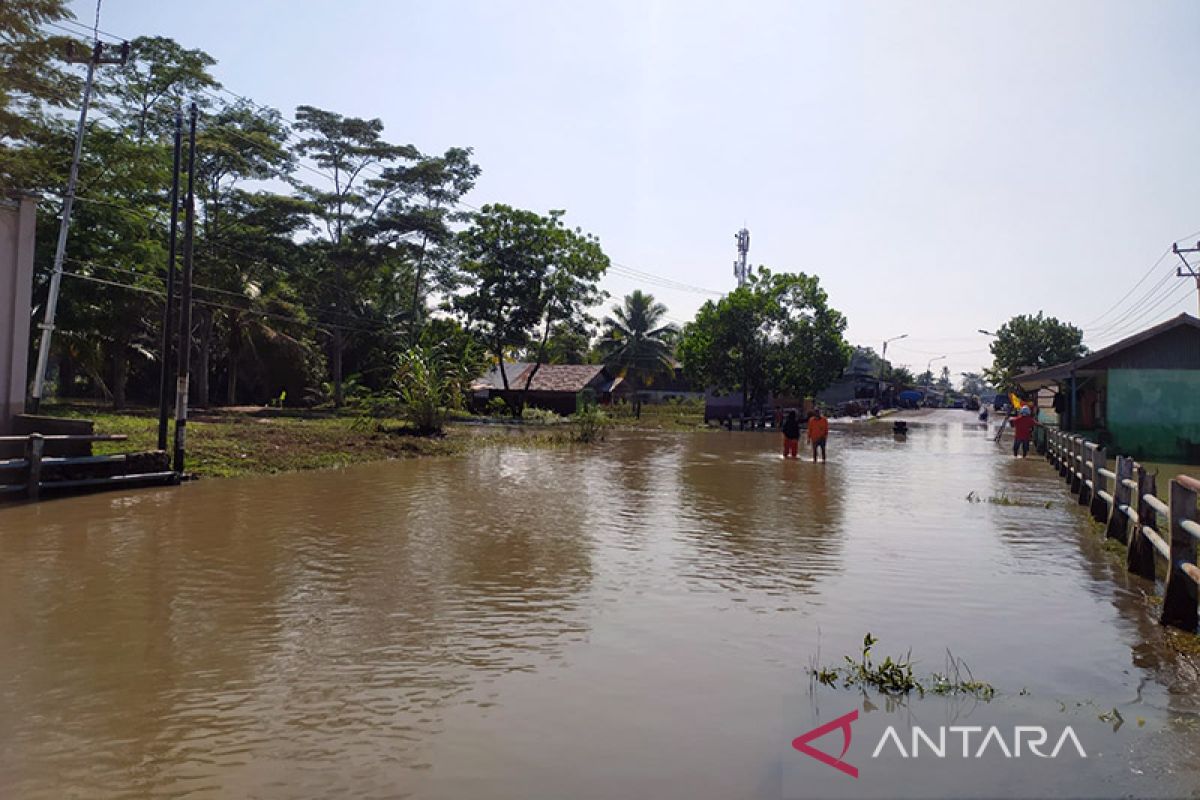 Sebanyak 4.550 rumah warga di Bengkulu terdampak banjir