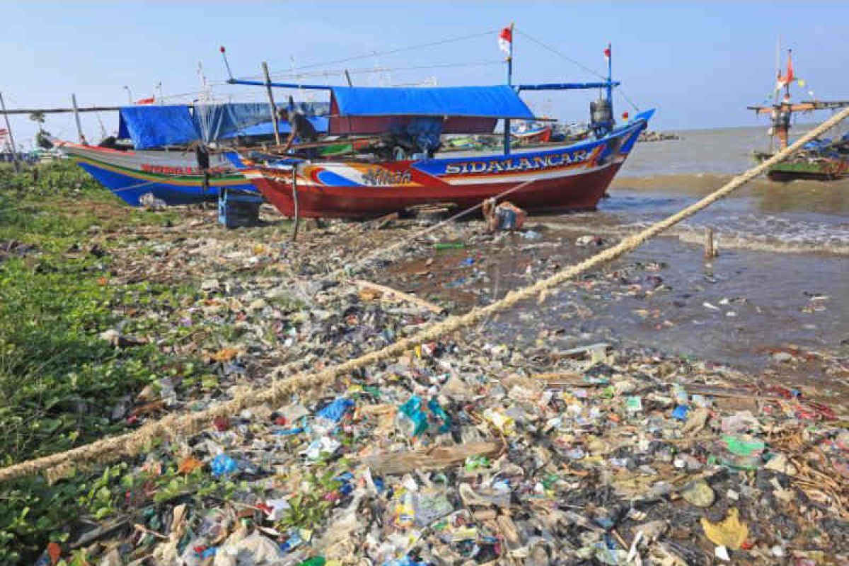 Kemarin plastik dominasi sampah pantai, Wolbachia digunakan tekan DBD