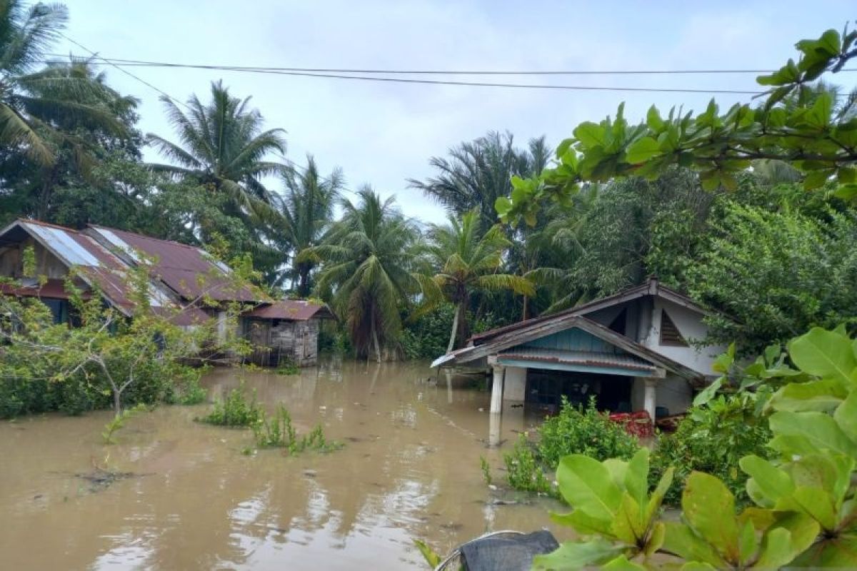 Sebanyak 4.550 rumah warga di Kota Bengkulu terdampak banjir