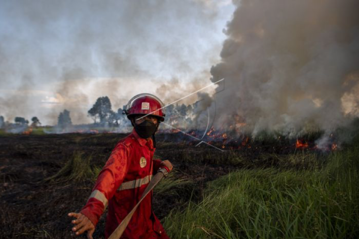 Tiga kabupaten jadi proyek pencegahan karhutla berbasis klaster