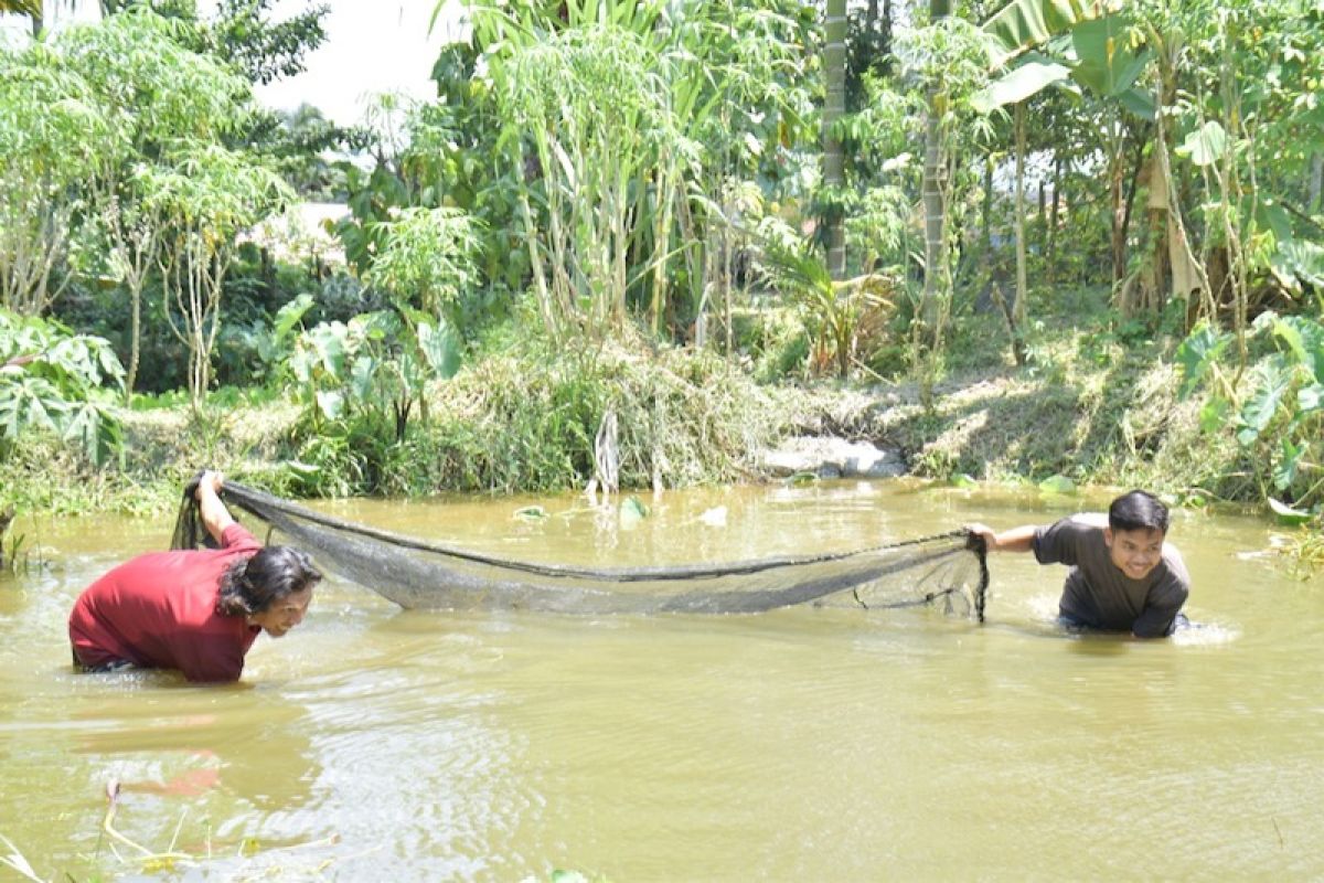 Bukit Asam manfaatkan lahan bekas tambang jadi tambak ikan