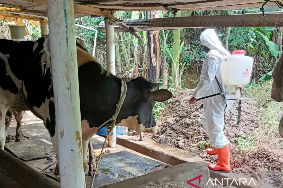 Penyuluh dan dokter hewan disebar pastikan kesehatan hewan kurban di Cianjur