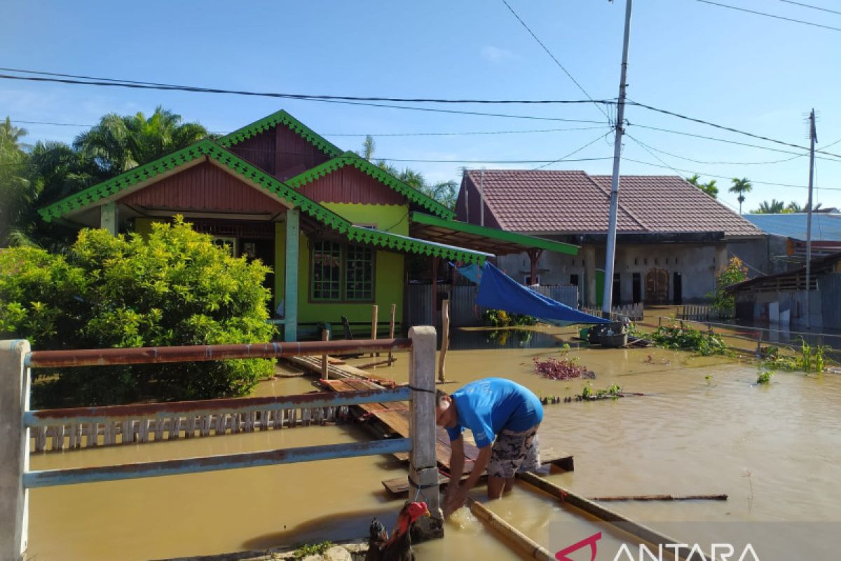 BPBD: Total kerugian banjir di Provinsi Bengkulu mencapai Rp2,5 miliar