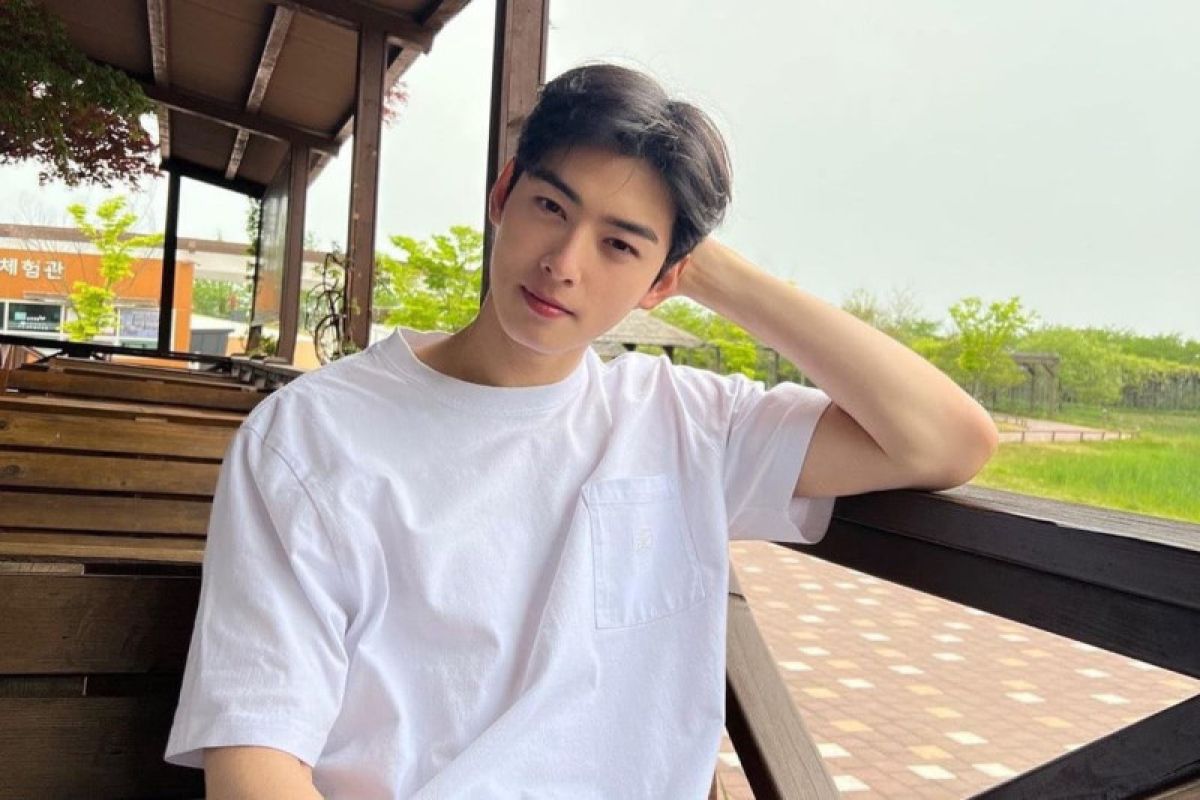 Cha Eun Woo dikonfirmasi akan tampil di drama 