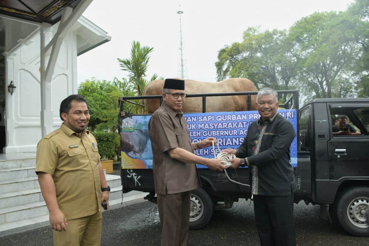 Ini berat sapi kurban dari Presiden Jokowi untuk Aceh