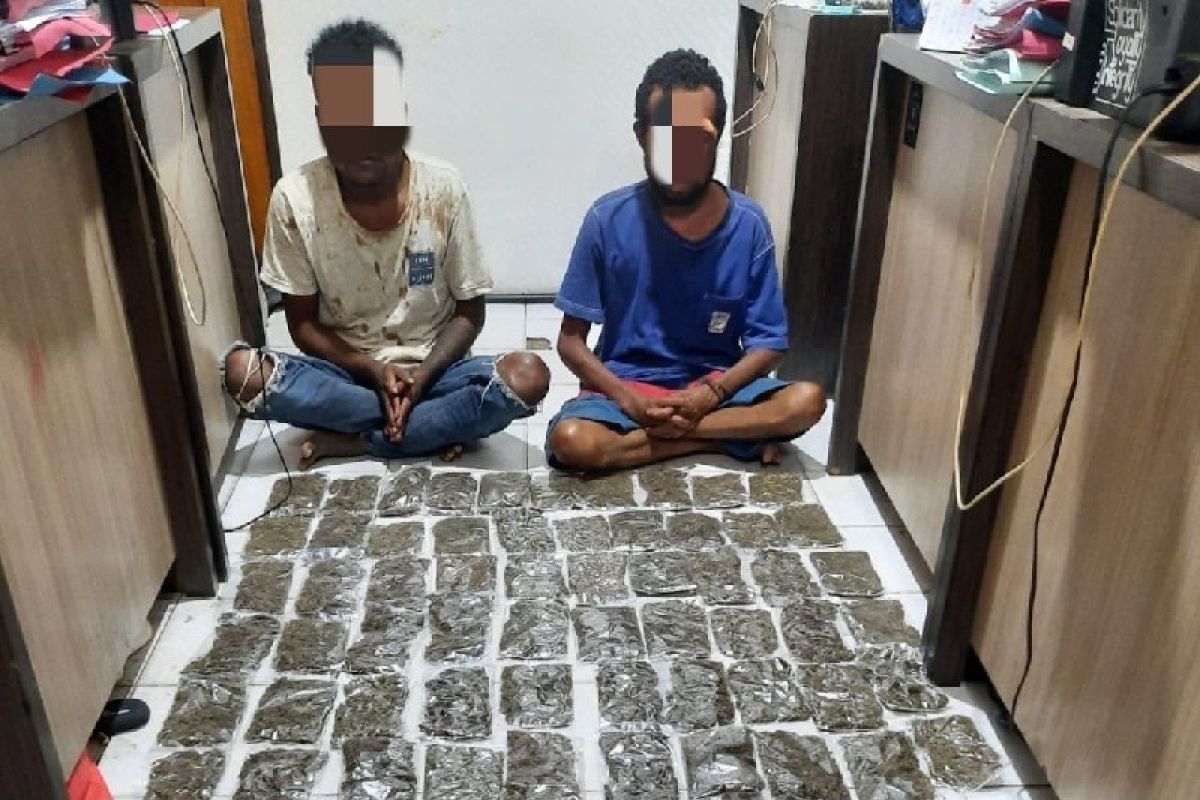 Polresta Jayapura Kota amankan 2,8 kg ganja di perbatasan RI-PNG