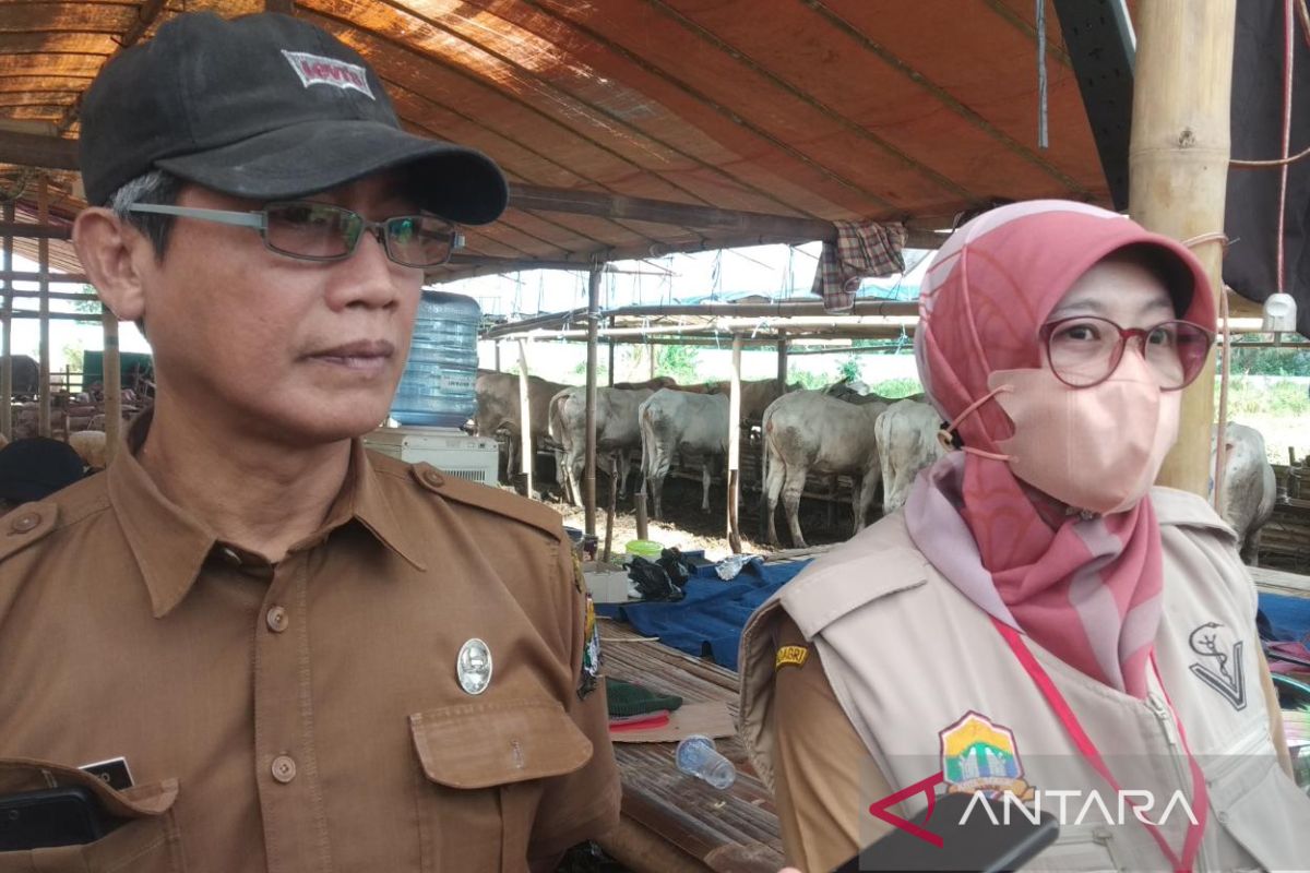 Pemkot Serang  periksa hewan kurban jelang Idul Adha