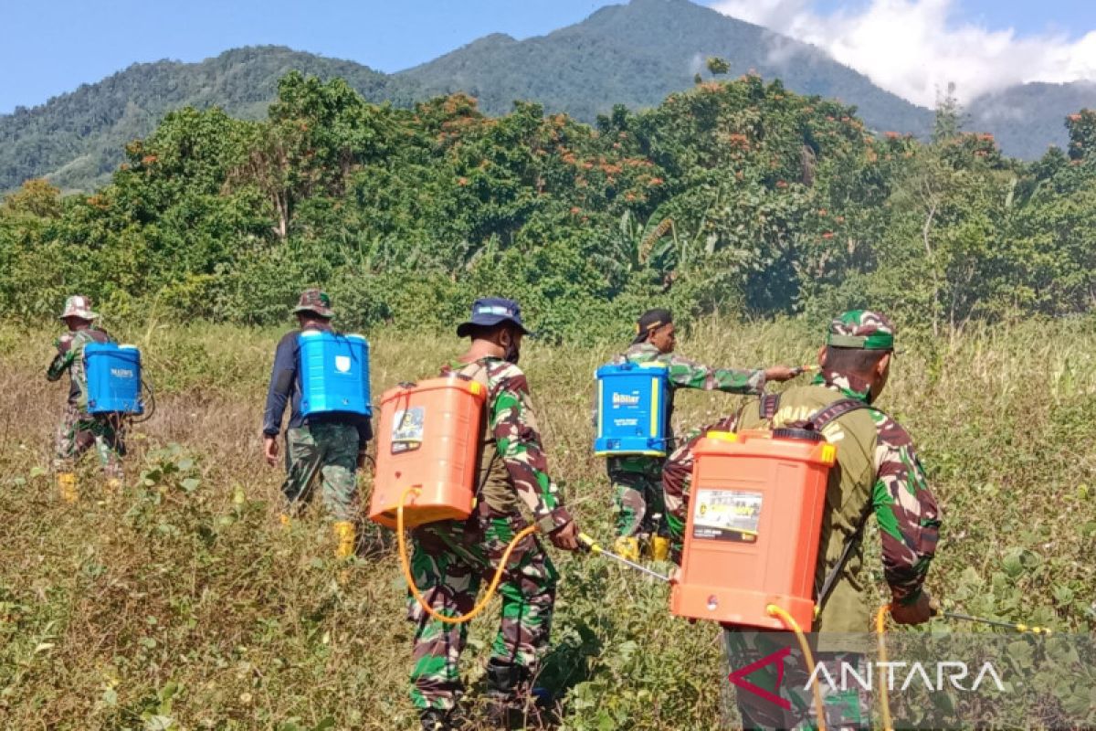 Kodim Manokwari manfaatkan lahan tidur untuk ketahanan pangan