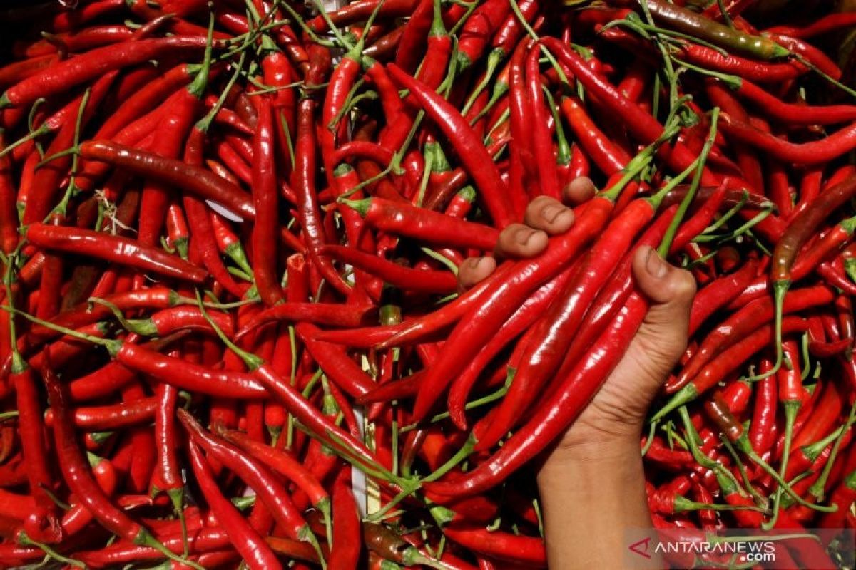Indonesia's November inflation driven by chili pepper prices: BPS