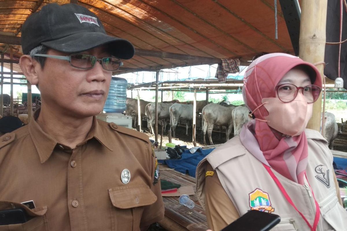 Pemkot Serang periksa hewan kurban jelang Idul Adha