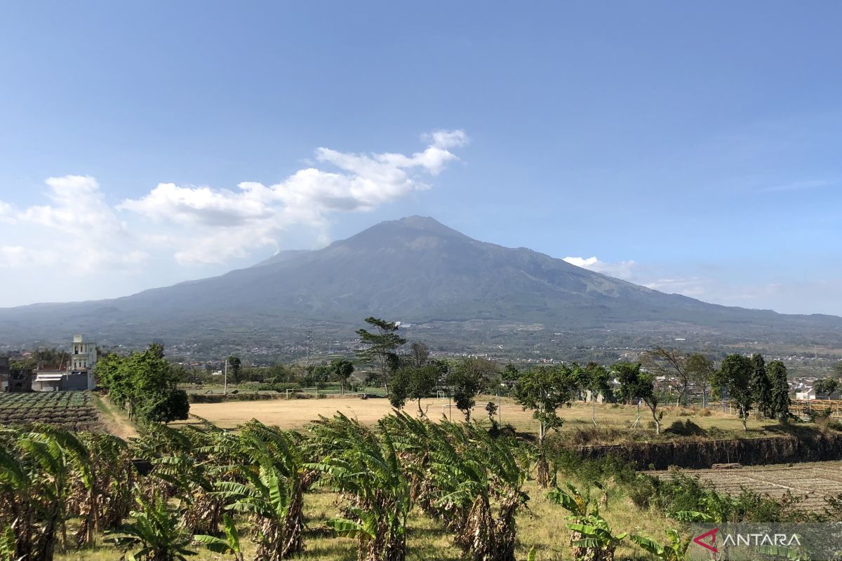 Pelari hilang di Gunung Arjuno, tim pencarian diarahkan ke Curah Sriti