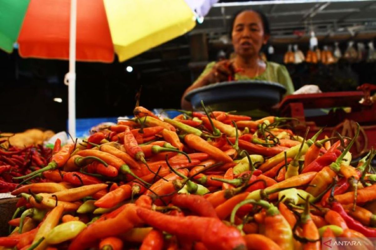 Pasokan melimpah, harga cabai di Jakarta  turun