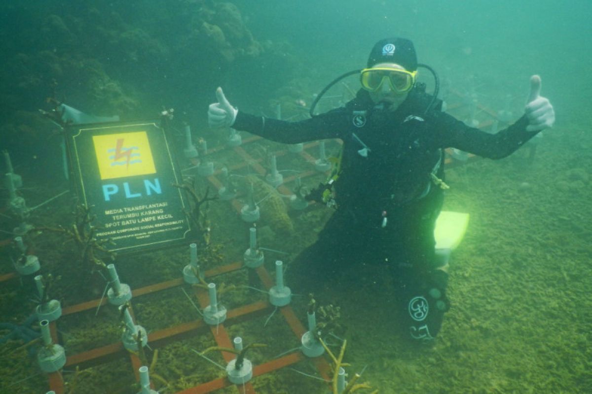 PLN jalankan program konservasi laut di 17 provinsi