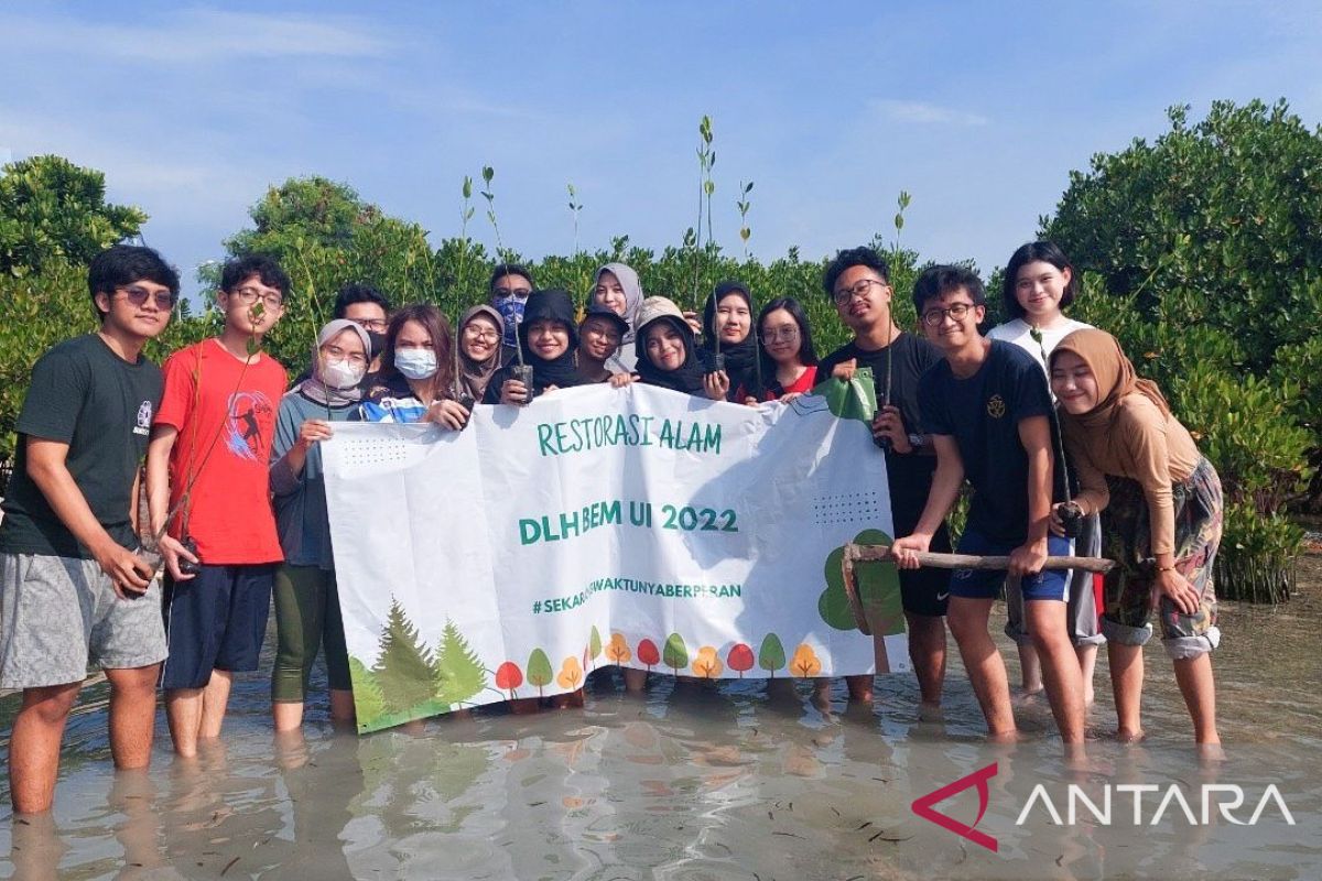 BEM UI tanam 100 bibit mangrove di Pulau Pramuka