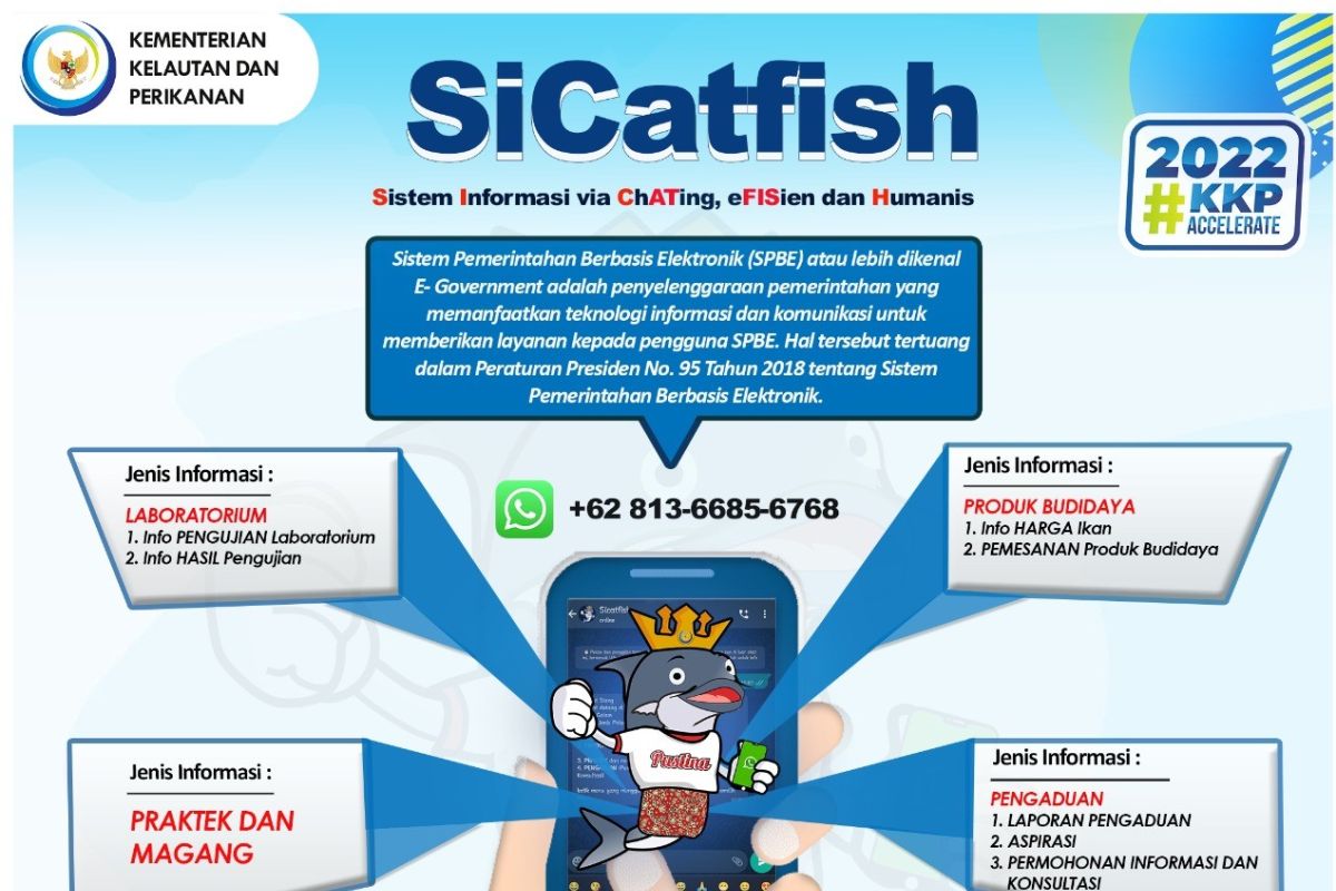 Dirjen KKP: Manfaatkan konsultasi budi daya ikan dengan SiCatfish