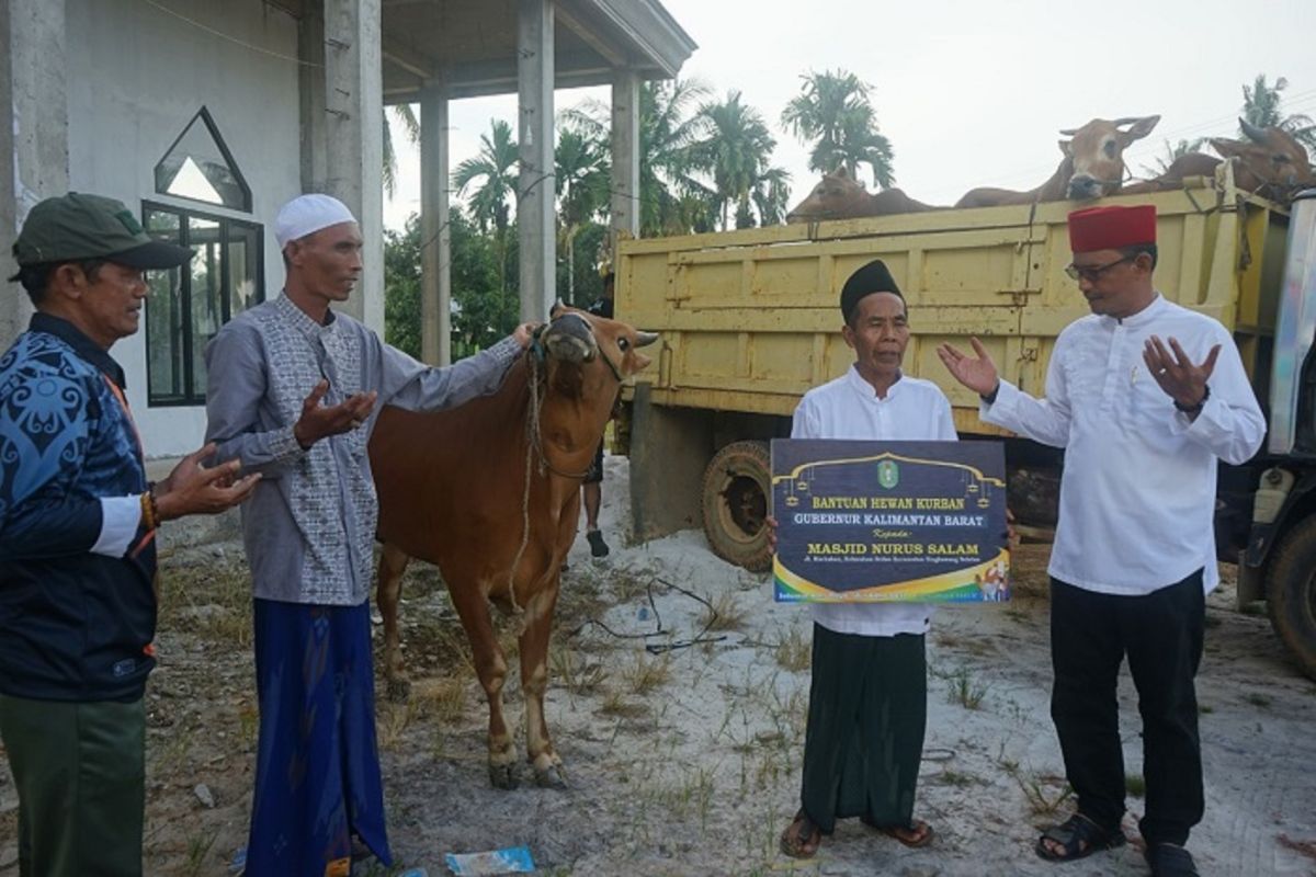 Wakil Wali Kota Singkawang serahkan hewan Kurban Gubernur