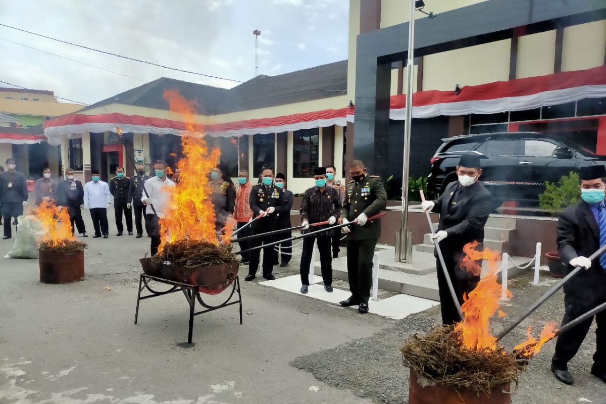 Polres Aceh Tengah musnahkan 101 kilogram ganja