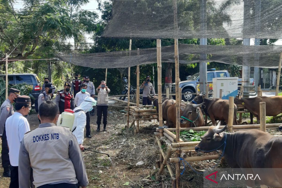 Polisi giatkan penyemprotan disinfektan ke hewan kurban di Mataram