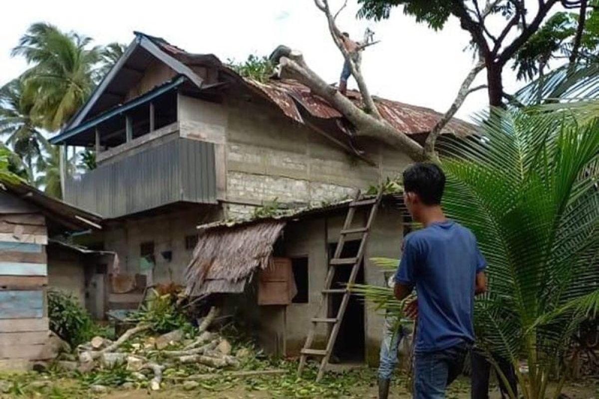 Rumah rusak ditimpa pohon akibat angin kencang