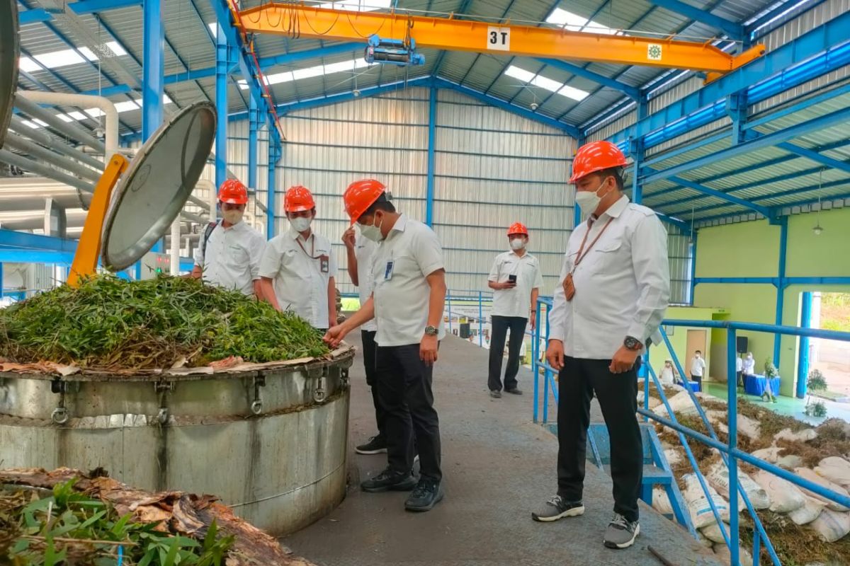 Perhutani revitalisasi pabrik minyak kayu putih