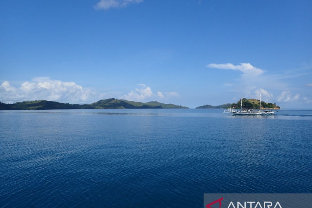 Hasil Riset Habituasi: Empat titik di laut Pulau Jampea Selayar rusak berat