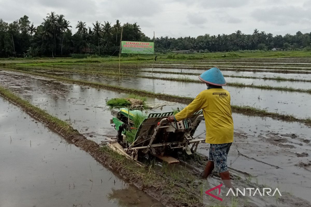 Bergotong-royong cegah potensi krisis pangan