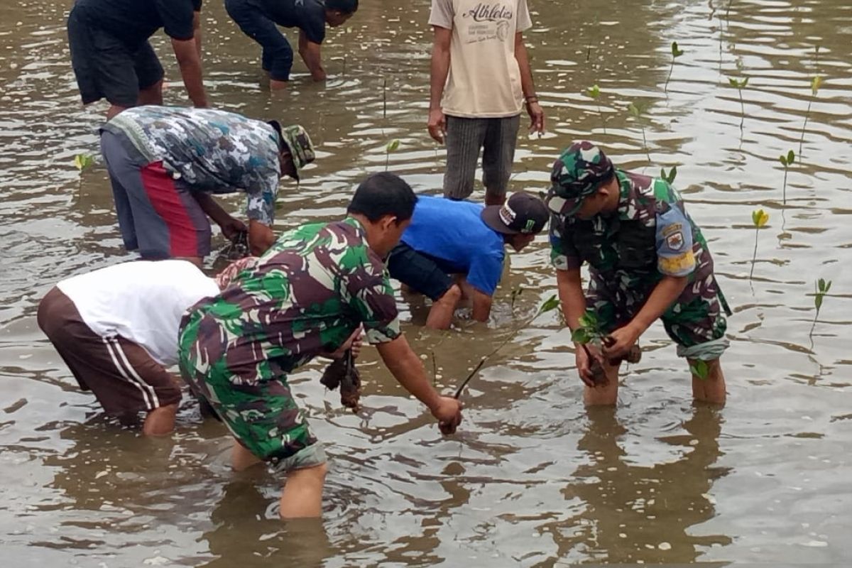 Jaga ekosistem laut TNI AL tanam ribuan pohon mangrove di Sukabumi