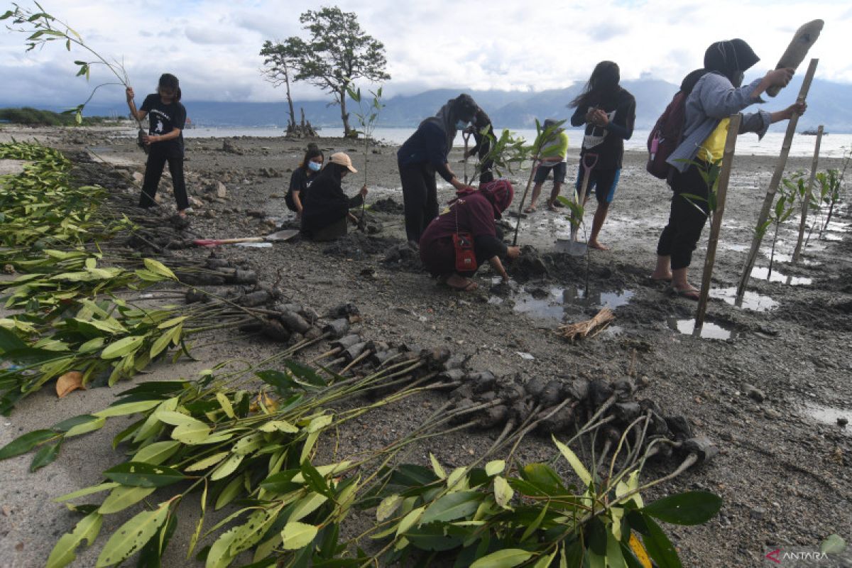 Pemkot Palu canangkan dua kelurahan jadi "Kampung Iklim"