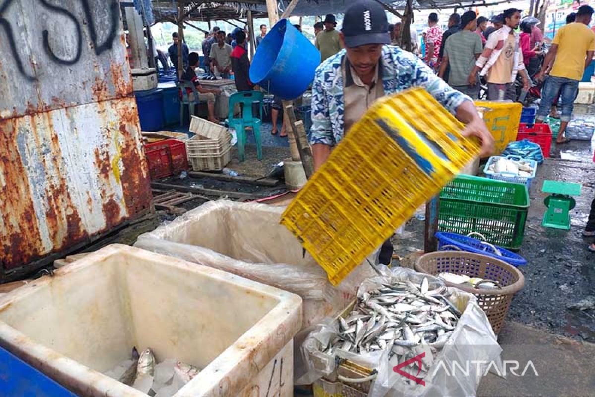 Ikan tongkol tangkapan nelayan Aceh Timur capai 2.546 ton