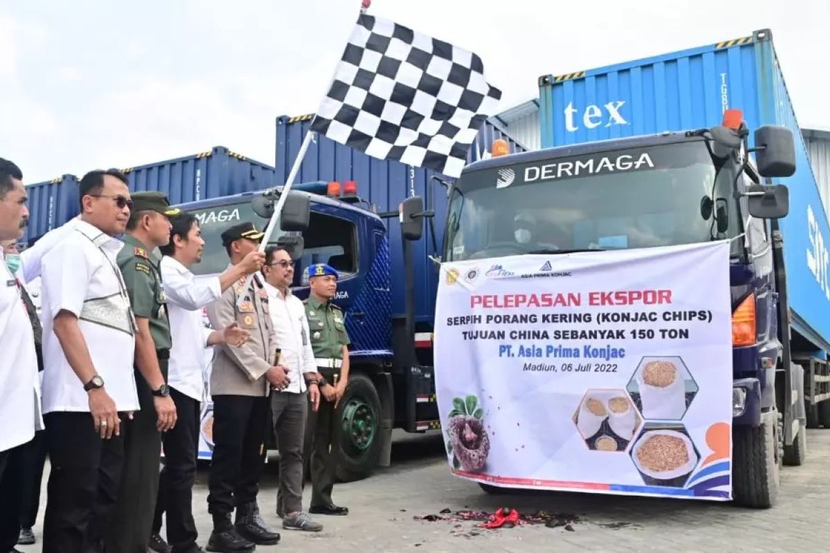 Syarat ekspor, Dinas Pertanian Jatim dorong petani porang miliki SK registrasi lahan