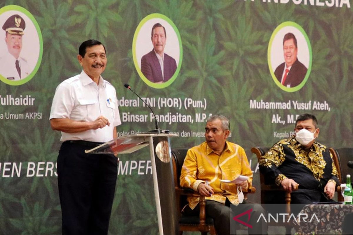 Luhut pastikan pemerintah terus tingkatkan tata kelola industri sawit