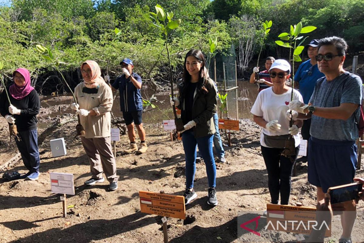 Kemenparekraf dukung pengurangan emisi karbon lewat penanaman mangrove