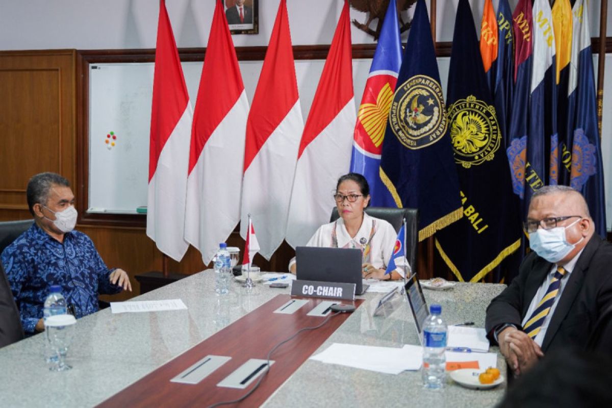 Kemenparekraf berharap ASEAN Plus Three kolaborasi lebih bermanfaat