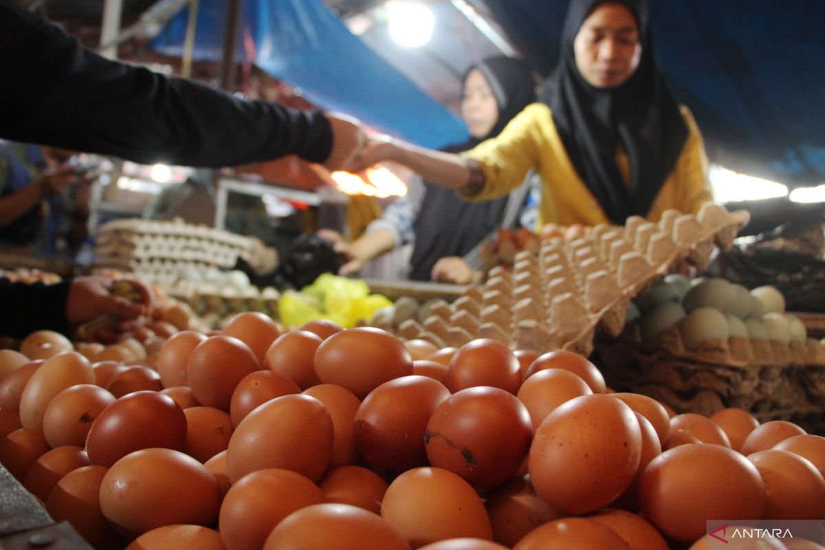 Annual inflation rate in March 3.05 percent: Statistics Indonesia