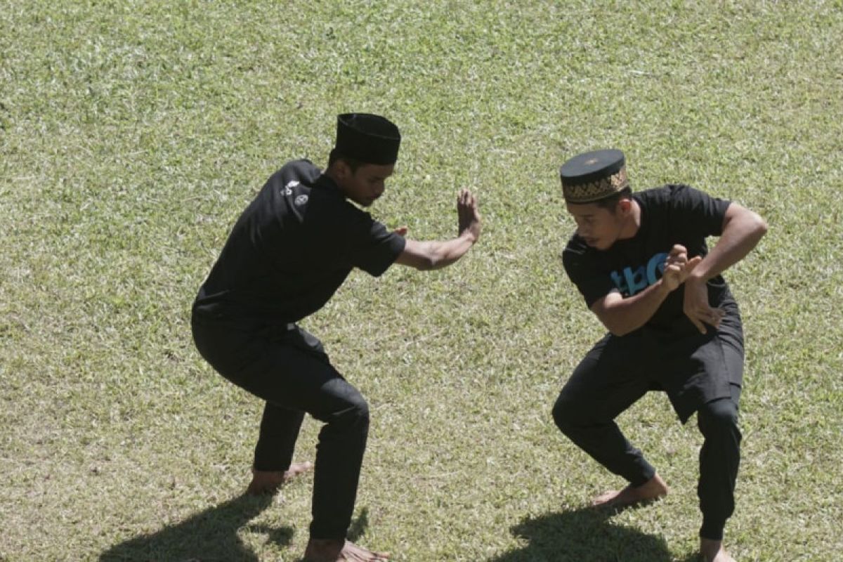 30 pegiat budaya Sumbar Riau Jambi tuntaskan belajar bersama maestro Silat Pingian