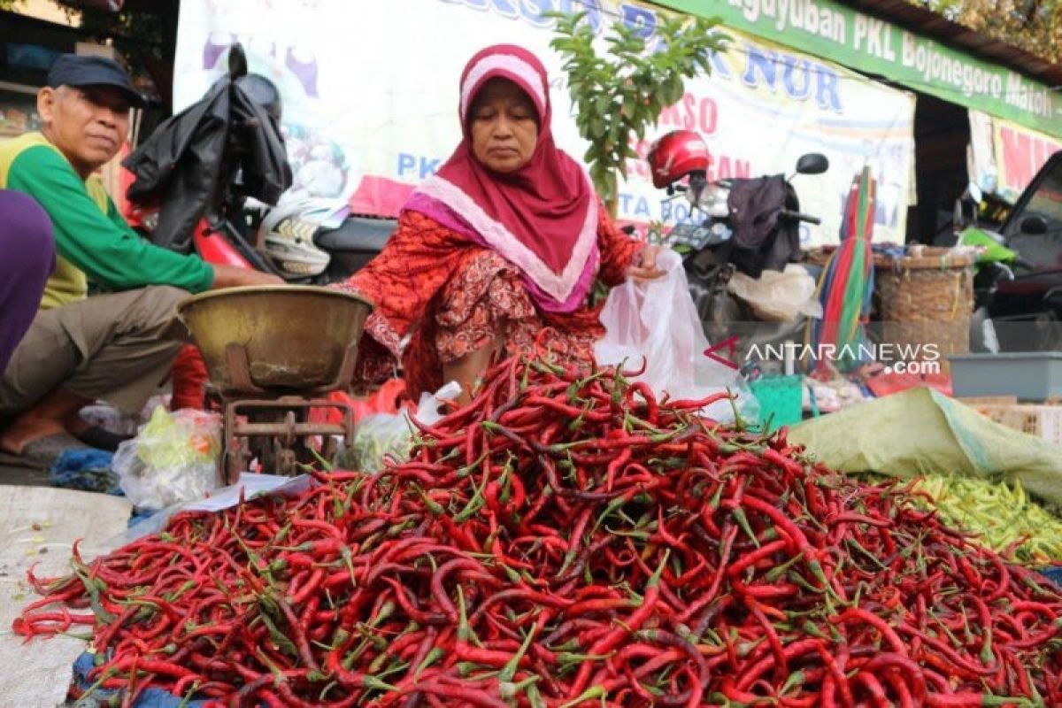 Harga cabai merah di Baturaja Sumsel tembus Rp120.000 per Kg