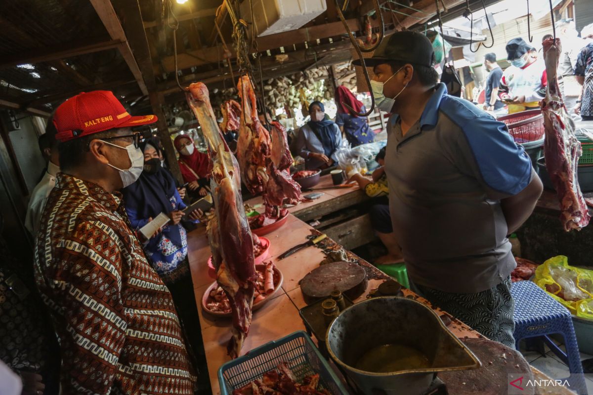 Ini kata Distan Aceh Jaya terkait konsumsi daging meugang lebaran
