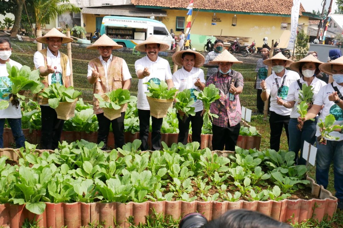 Wilayah Dadap Barat Tangsel ditata jadi kampung tahan pangan Tangsel