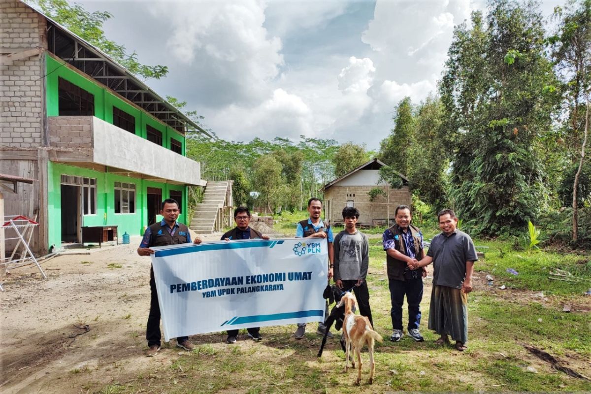 PLN salurkan bantuan hewan ternak ke pesantren