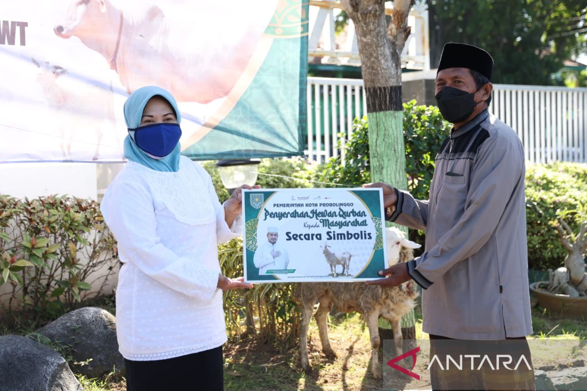 Pemkot Probolinggo salurkan 31 hewan kurban