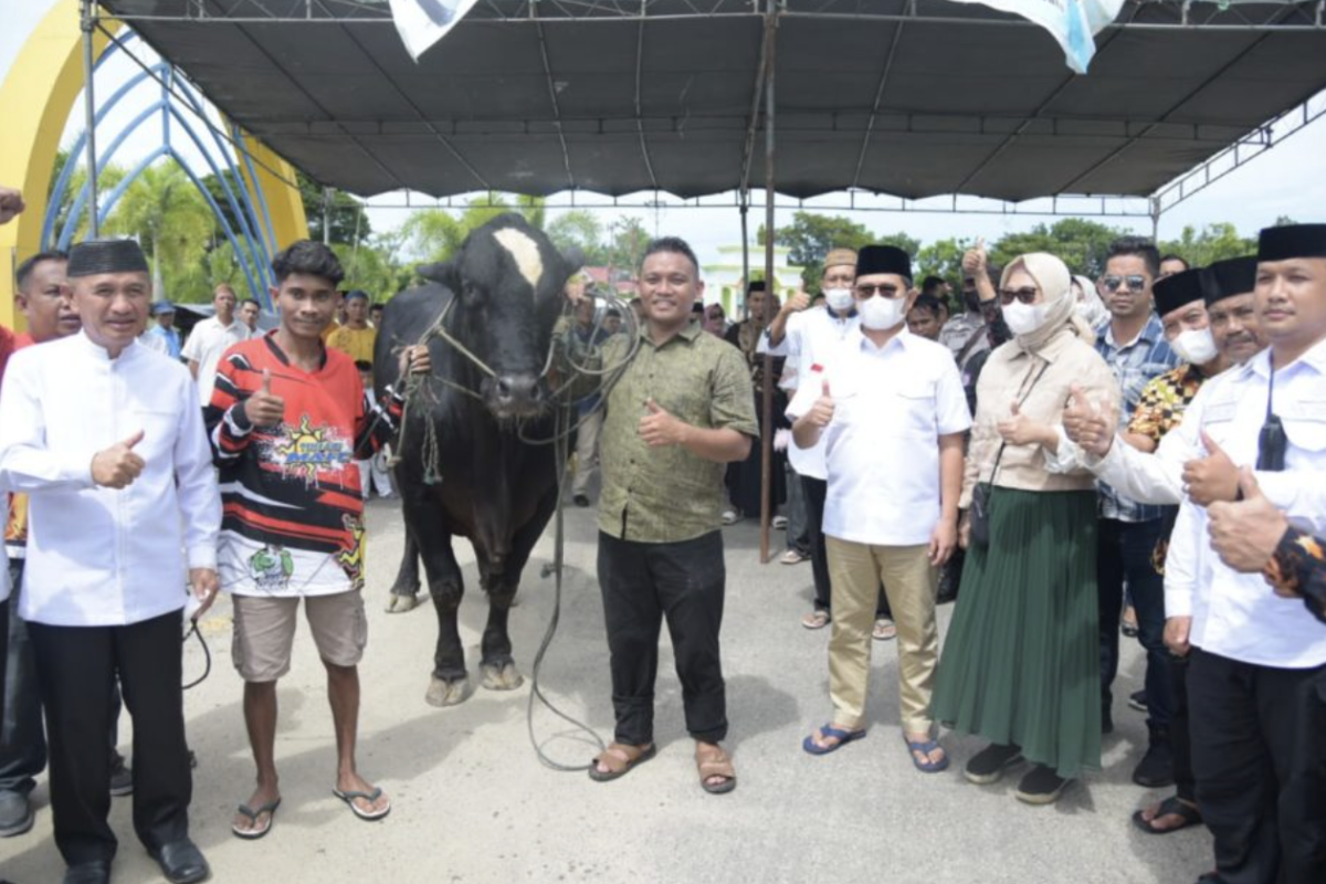 Gubernur Gorontalo serahkan bantuan ternak kurban dari Presiden