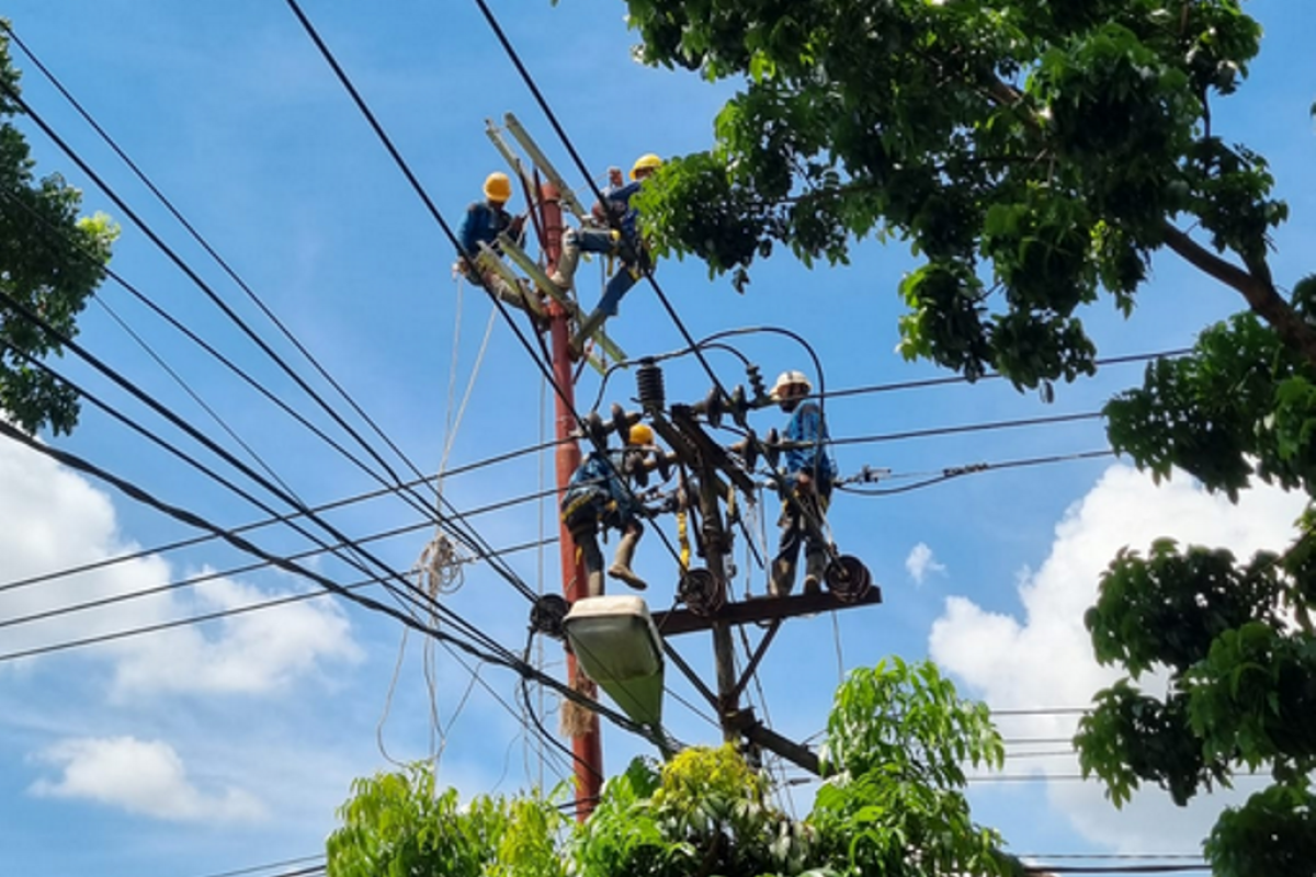 PLN UP3 Pontianak gencar pelihara jaringan listrik