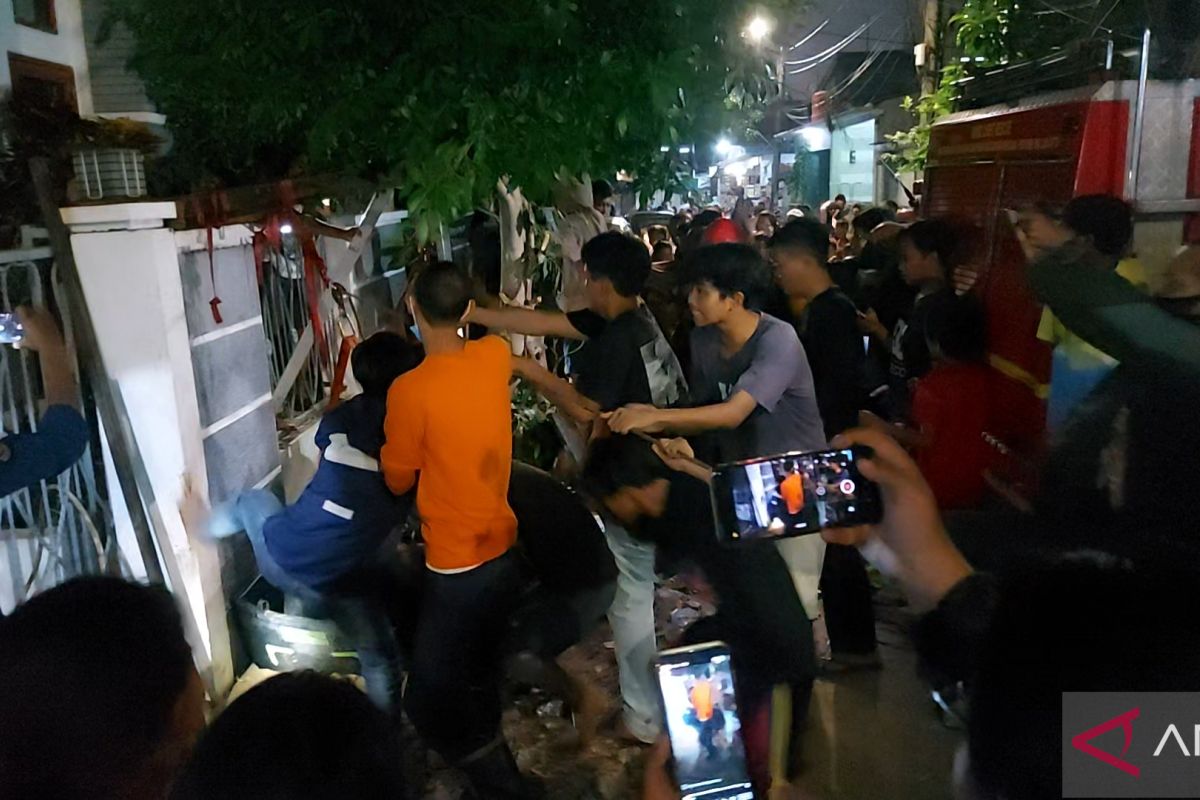 Sapi kurban terperosok got di depan rumah Wapres di Koja Jakarta Utara