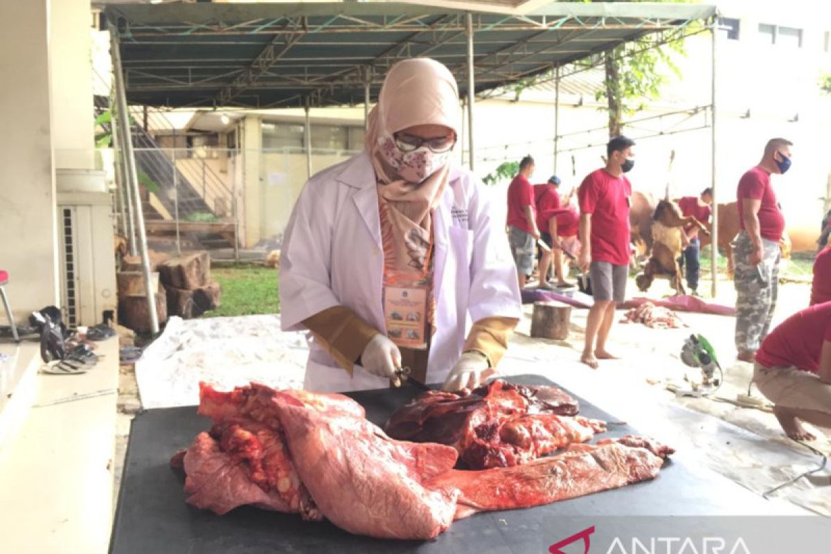 Pemkot Jakpus pastikan daging kurban yang didistribusikan layak