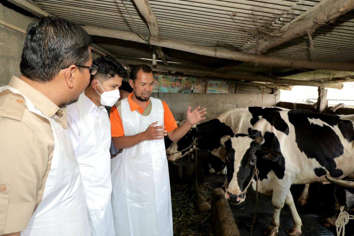 Plt. Gubernur Jatim imbau masyarakat tidak takut konsumsi daging