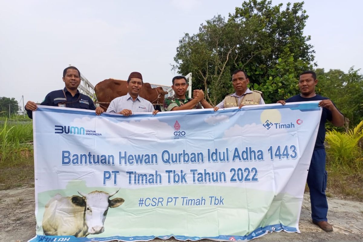 PT Timah salurkan 39 ekor hewan kurban ke Kabupaten Bangka Barat