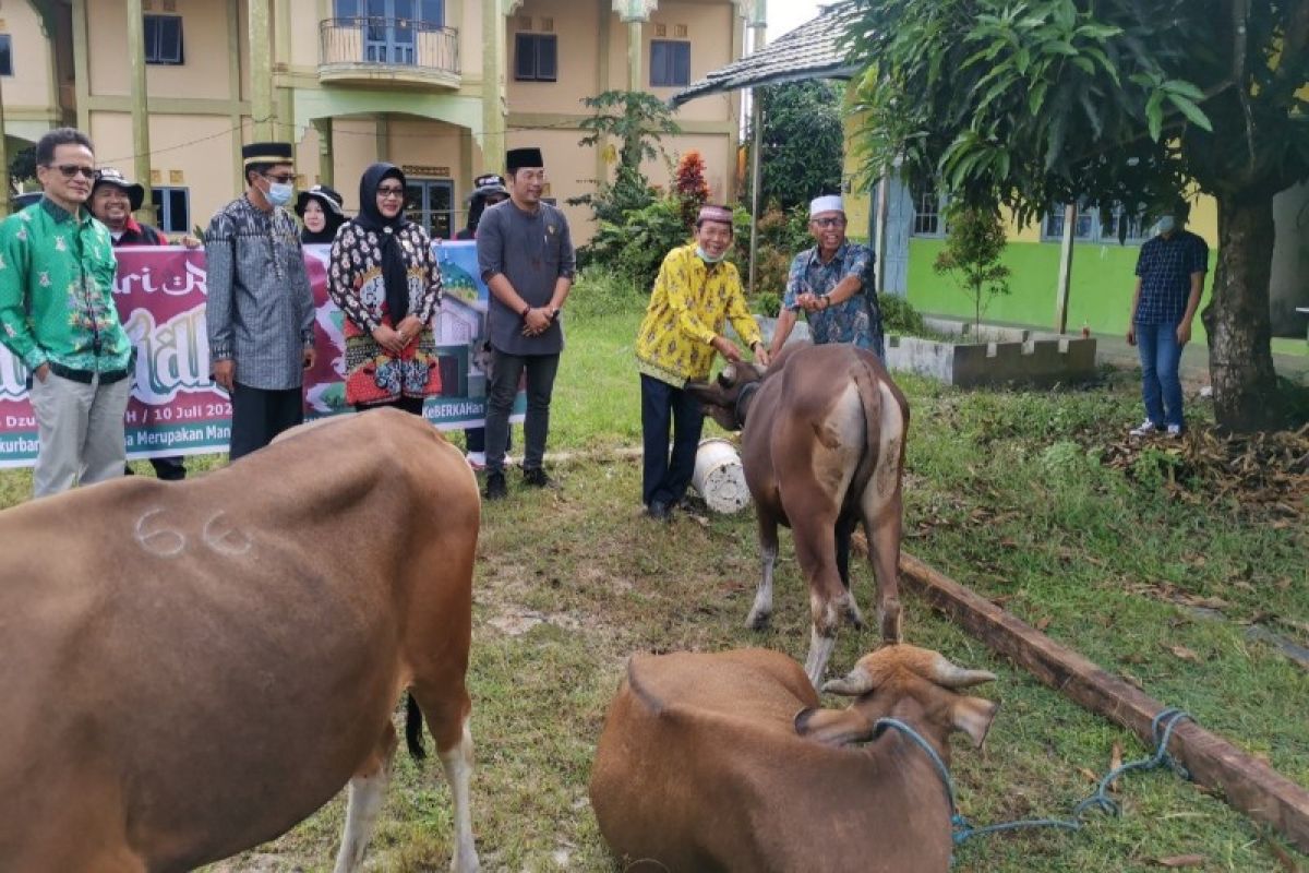 Pemkab Kapuas terima 77 ekor sapi kurban dari Pemprov Kalteng